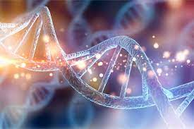 illustration of a dna double helix